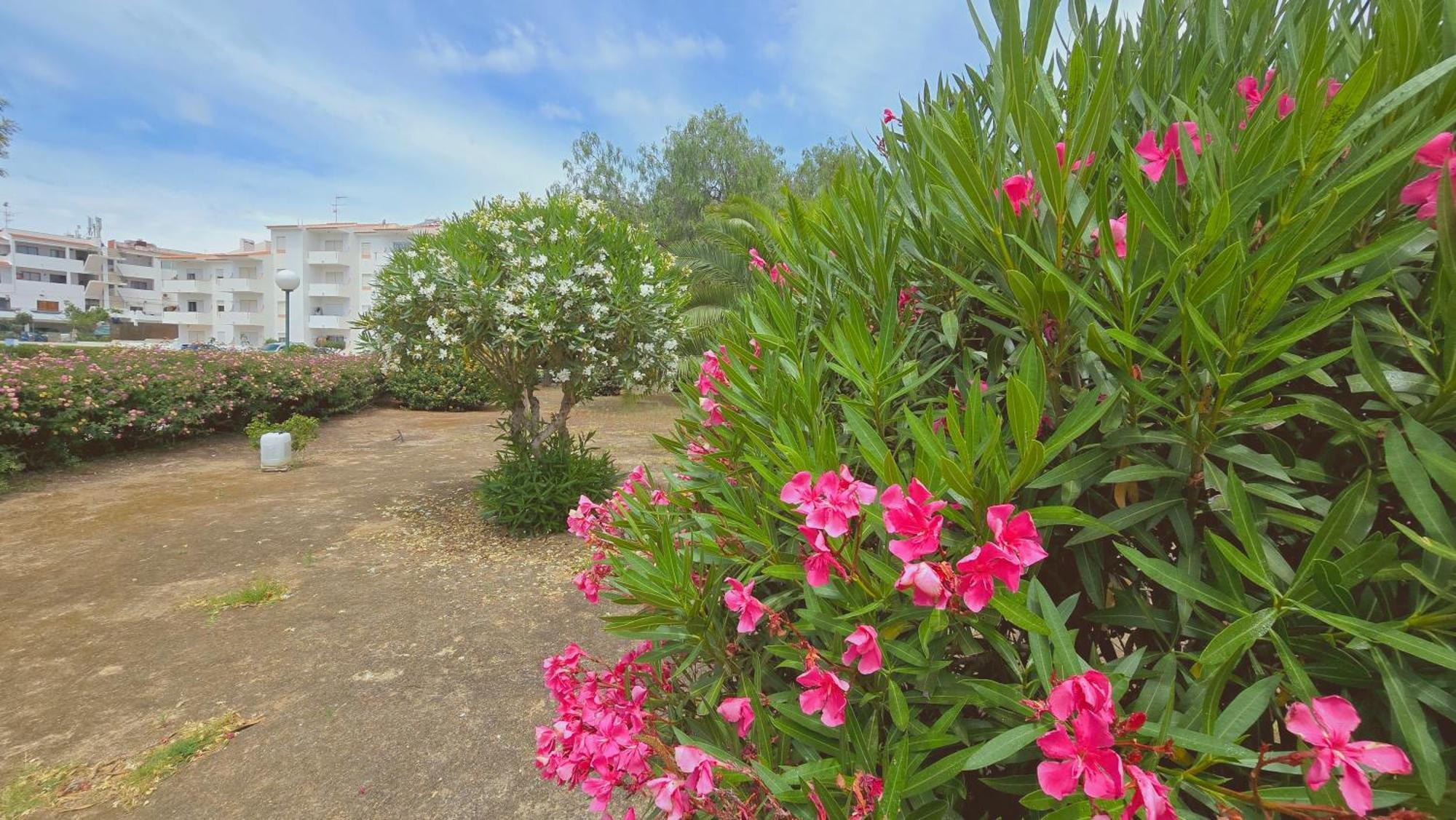 Praia Eulalia With Pool And 5 Minutes From The Beach Албуфейра Екстериор снимка