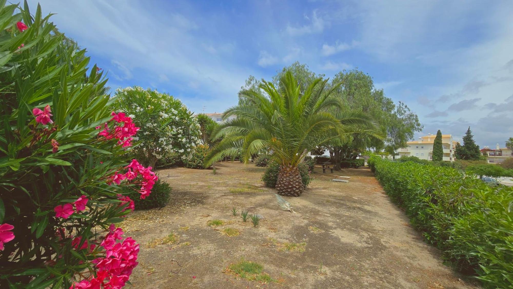 Praia Eulalia With Pool And 5 Minutes From The Beach Албуфейра Екстериор снимка