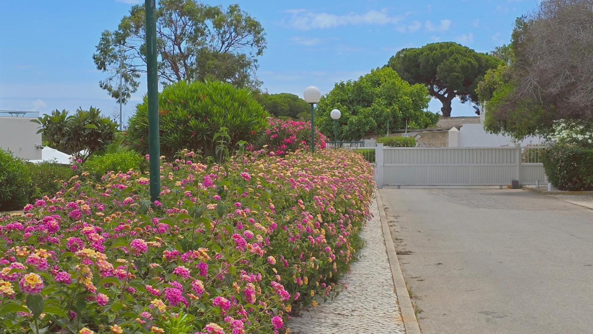Praia Eulalia With Pool And 5 Minutes From The Beach Албуфейра Екстериор снимка